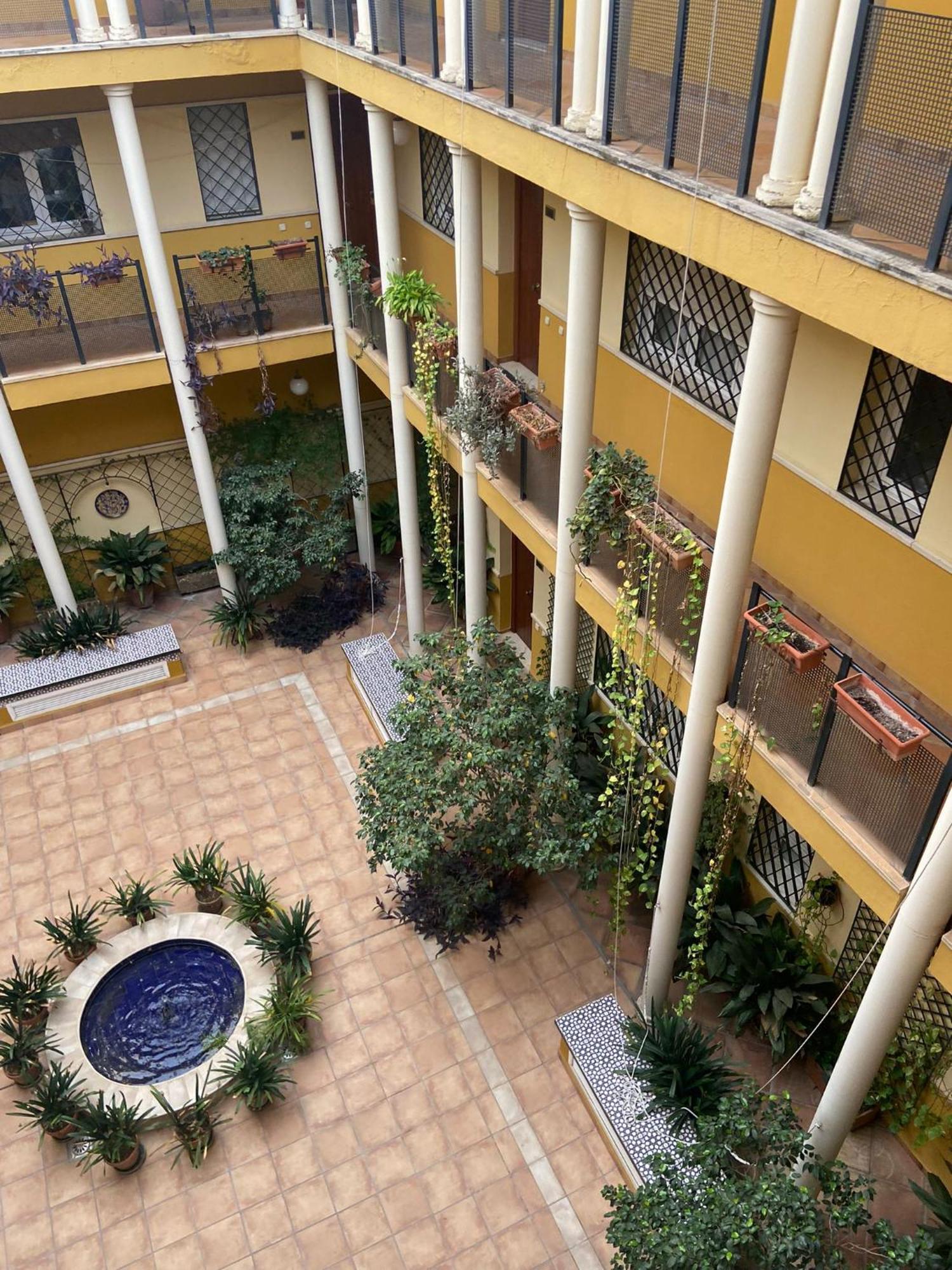 Apartament Comfortable And Cozy In The Center Of *